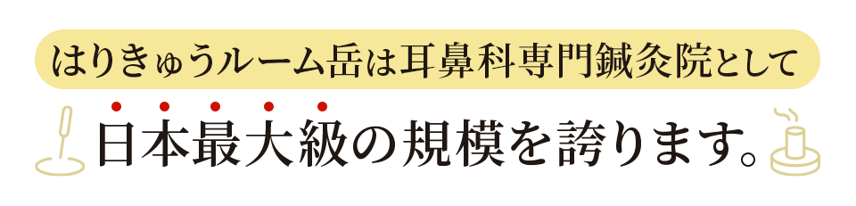 はりきゅうルーム岳は耳鼻科専門鍼灸院として日本最大級の規模を誇ります
